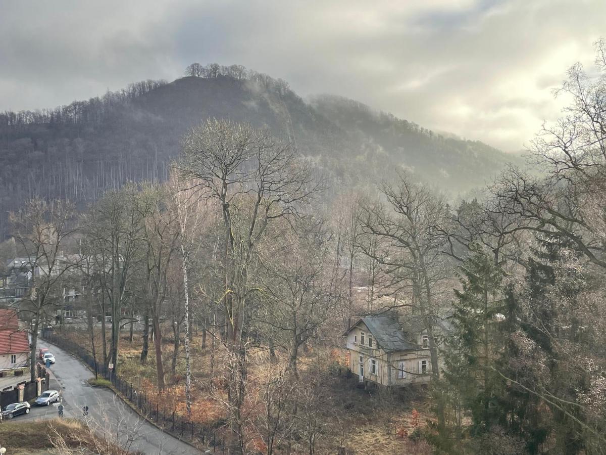 Apartmán Schwalbennest Bad Harzburg Exteriér fotografie